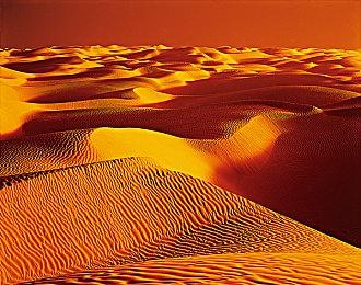 微软确认Xbox仍有超过40款游戏在活跃开发中