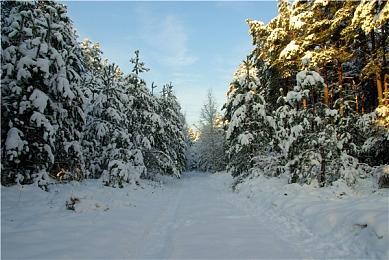 《福尔摩斯：觉醒重制版》发售日公布 明年2月上市